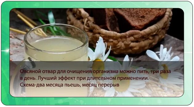 Отвар из овса. Отвар овса для печени и поджелудочной железы. Напиток из овса. Отвар для похудения. Отвар из овса.
