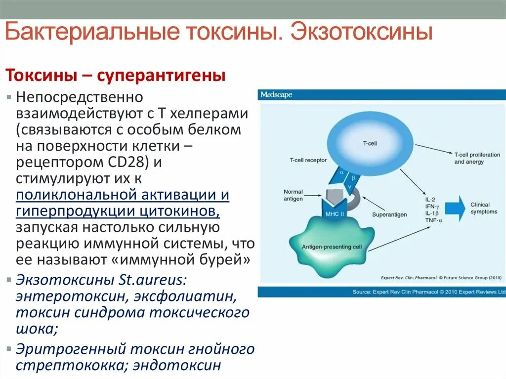 Токсин форум. Механизм действия бактериальных токсинов. Экзотоксины бактерий. Классификация бактериальных токсинов. Классификация микробных токсинов.