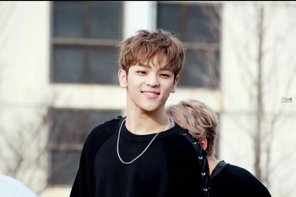 Stray kids вуджин. Stray kids вуджин. Уджин из stray kids. Джинён из stray kids. Woojin stray kids покинул группу.