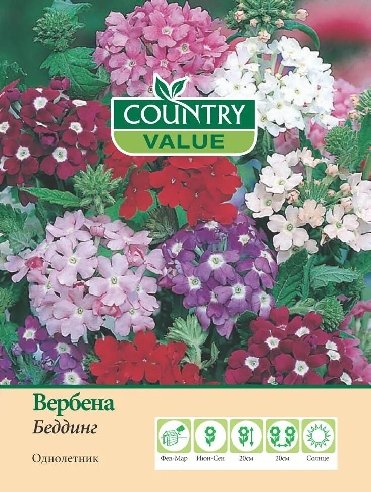 Country value. Вербена бонарская семена. Вербена кварц бургунди дом семян. Вербена период цветения. Вербена Рубин семена.