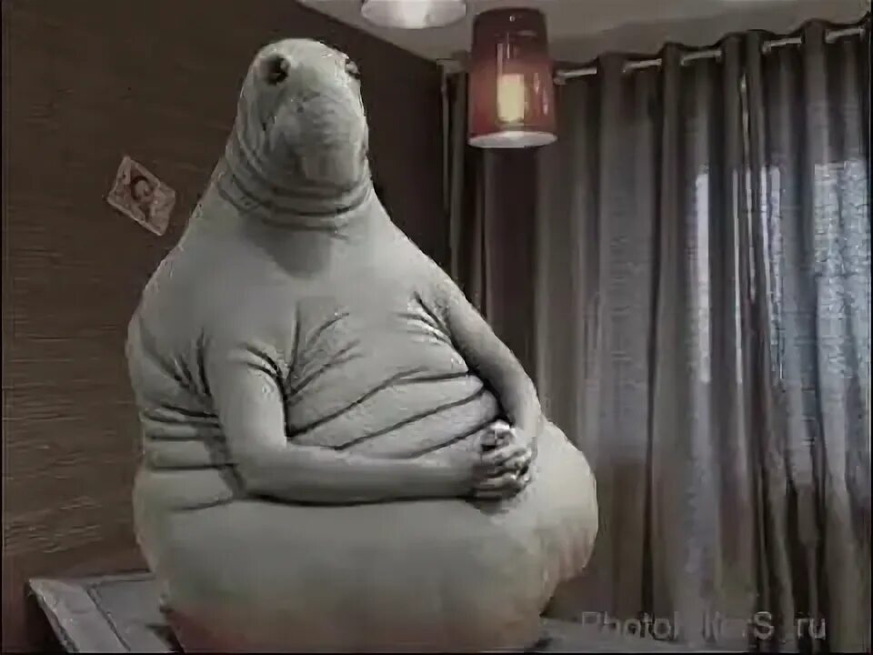 Ждун - YouTube