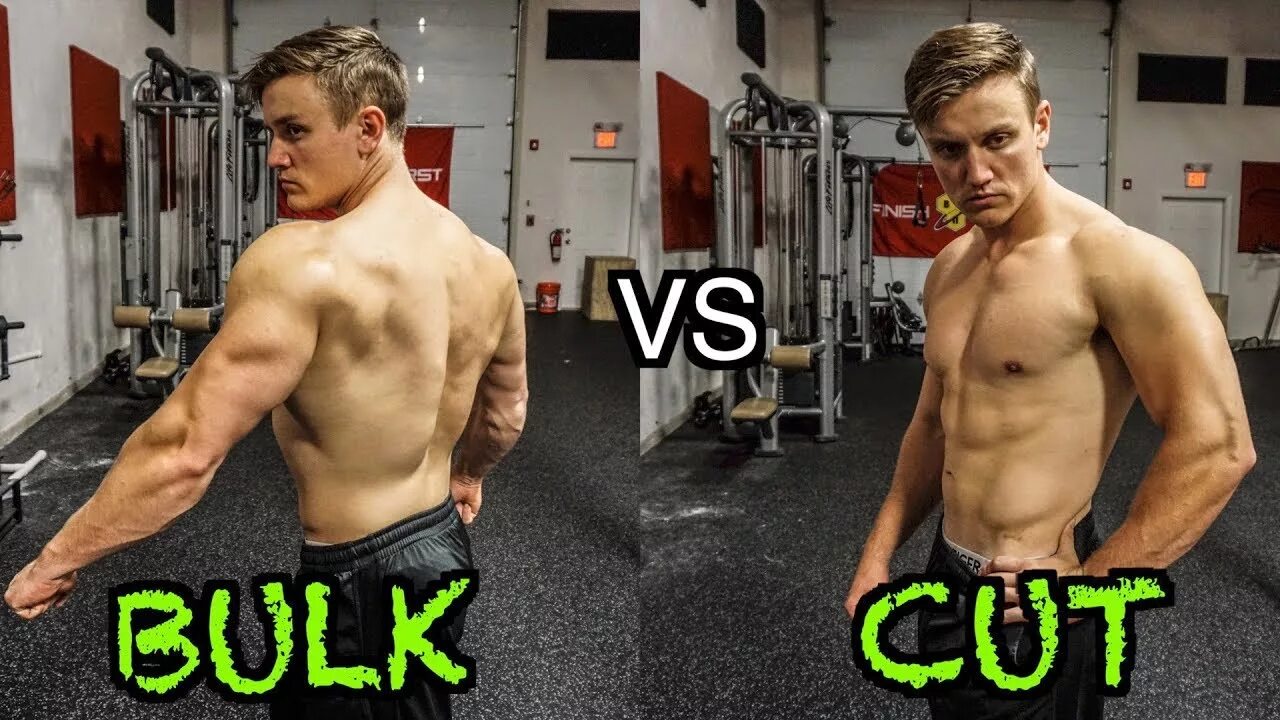 Bulk price. Bulk and cut. cut bulking. bulk or cut. bulk shred.