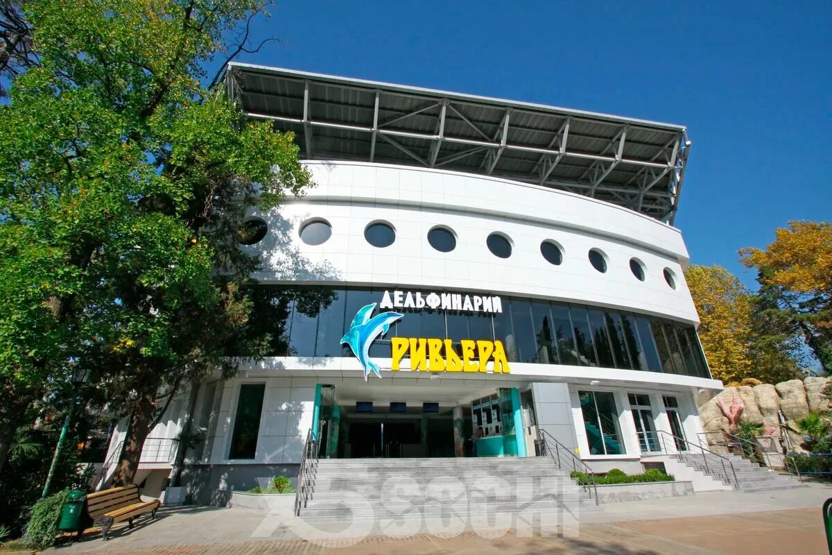 delfinarij-rivera-v-sochi - SOCHITRAVEL.BIZ