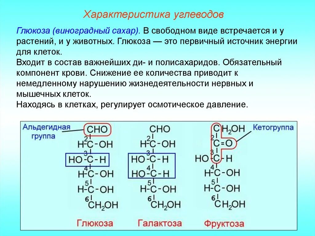 Классификация углеводов и химические свойства Глюкозы. Углеводы строение Глюкозы. Углеводы Глюкоза функции. Характеристика углеводов. Формула углевод глюкозы