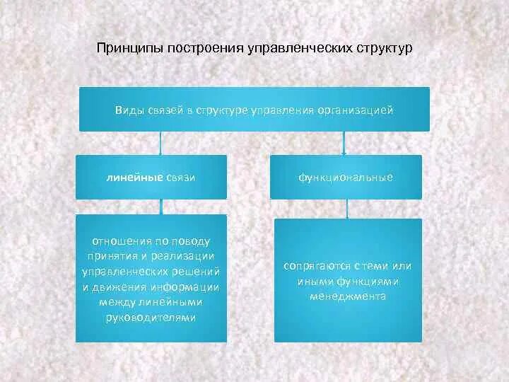 Общие принципы построения структур научного проекта Принцип построения 14 фото из 48
