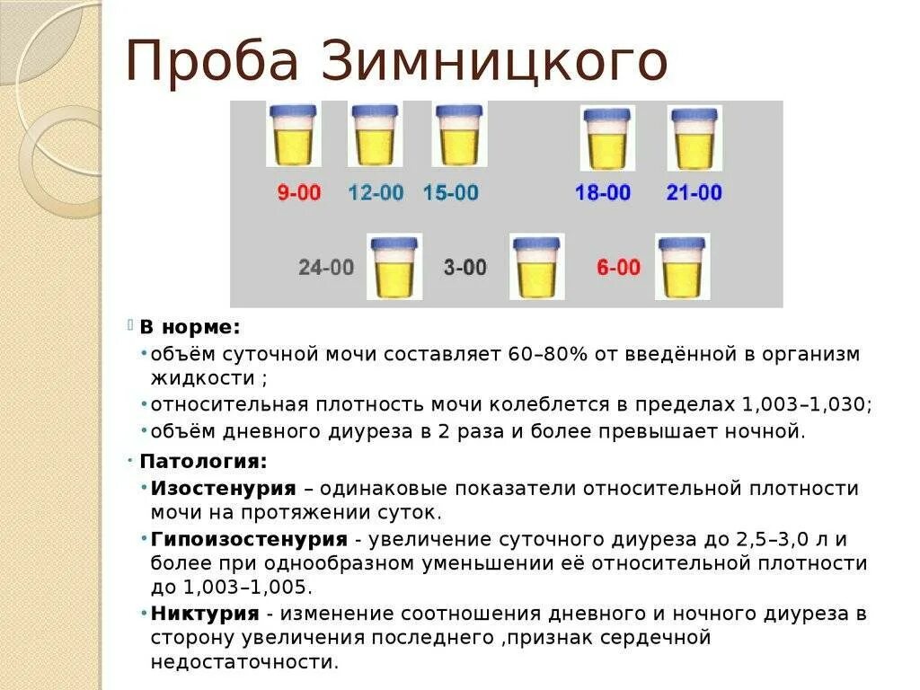 Изменение количества мочи. При проведении анализа мочи по Зимницкому определяют. Методика оценки анализа мочи по Зимницкому. Методы исследования мочи по Зимницкому. Сбор анализа мочи проба по Зимницкому.