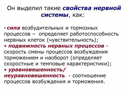 Свойства нервной системы животных