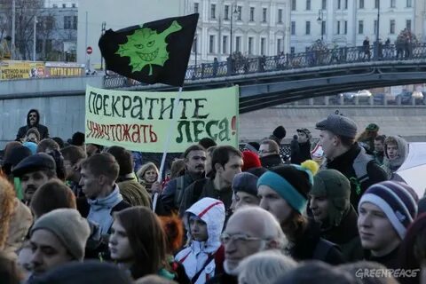 Экологический экстремизм