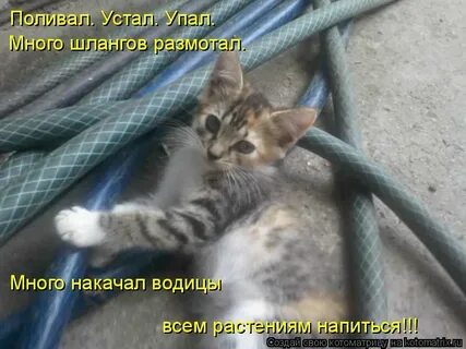 Побольше упал