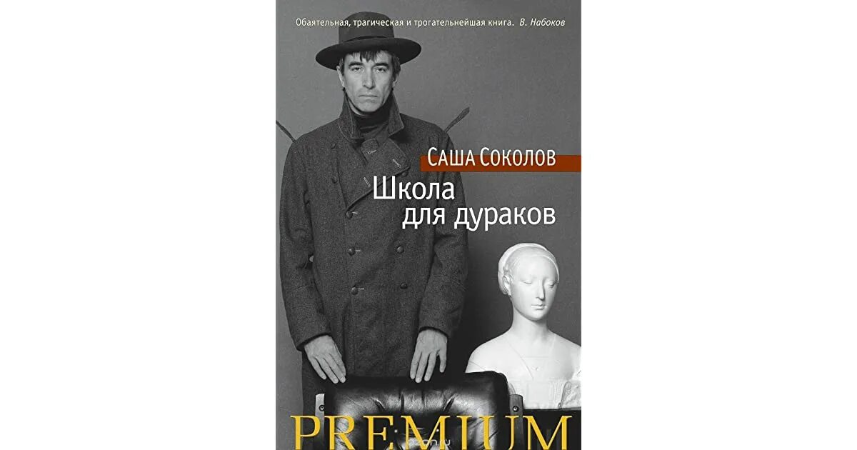 Книга школа для дураков. Школа для дураков Саша Соколов книга. Соколов а. "школа для дураков". Саша Соколов школа для дураков иллюстрации. Иностранка школа для дураков Саша Соколов.