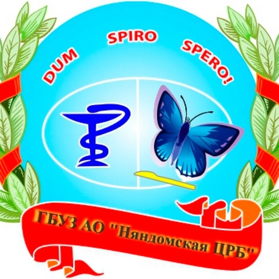 Здрав29 ру мирный. Няндомская ЦРБ. Детская поликлиника Няндома. ГБУАО "Няндомская РАЙСББЖ" на карте.