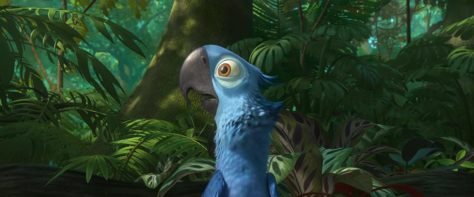 Рио 2. Рио 2 [Rio 2]. Рио Голубчик.