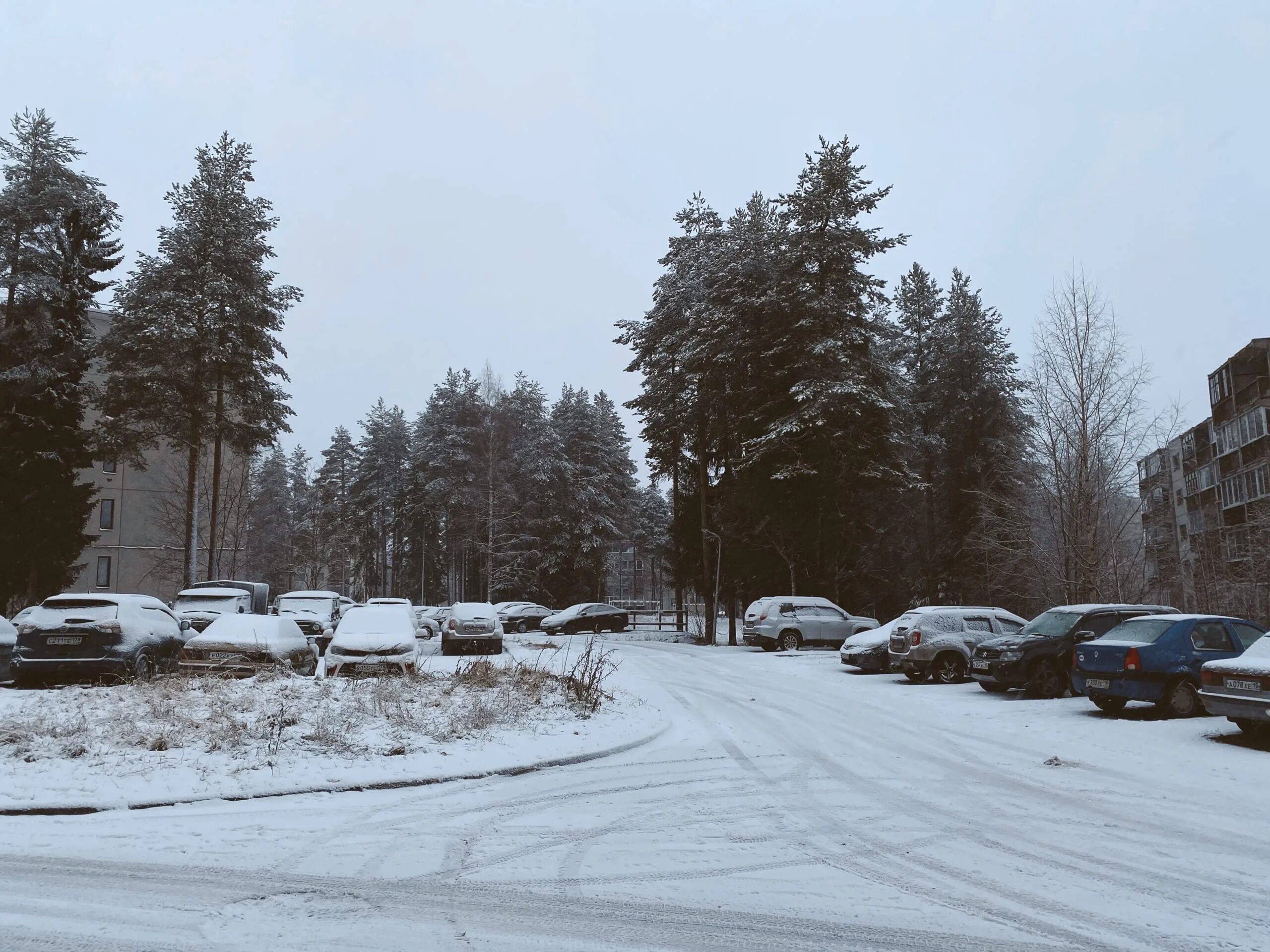 Костомукша климат. Костомукша зима. 64 Параллель Костомукша. Погода в Костомукше.