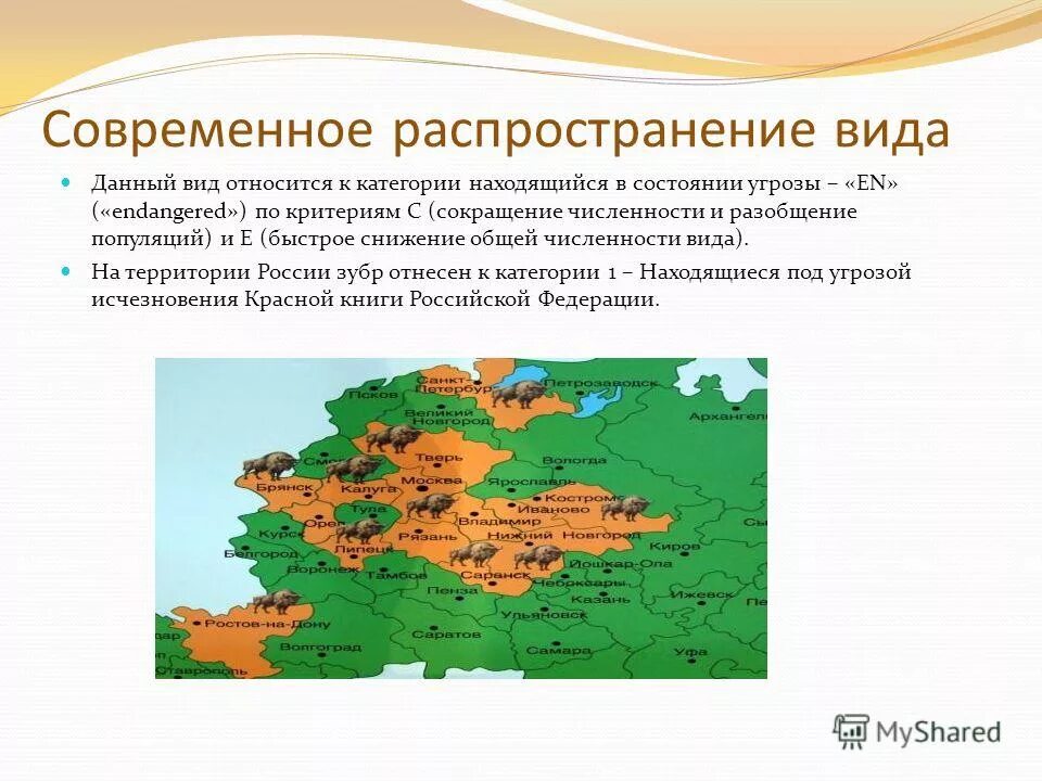 Зубр ареал. Зубр ареал. Зубр ареал обитания в россии. Исторический ареал зубра. Конкуренция между лосями и зубрами.