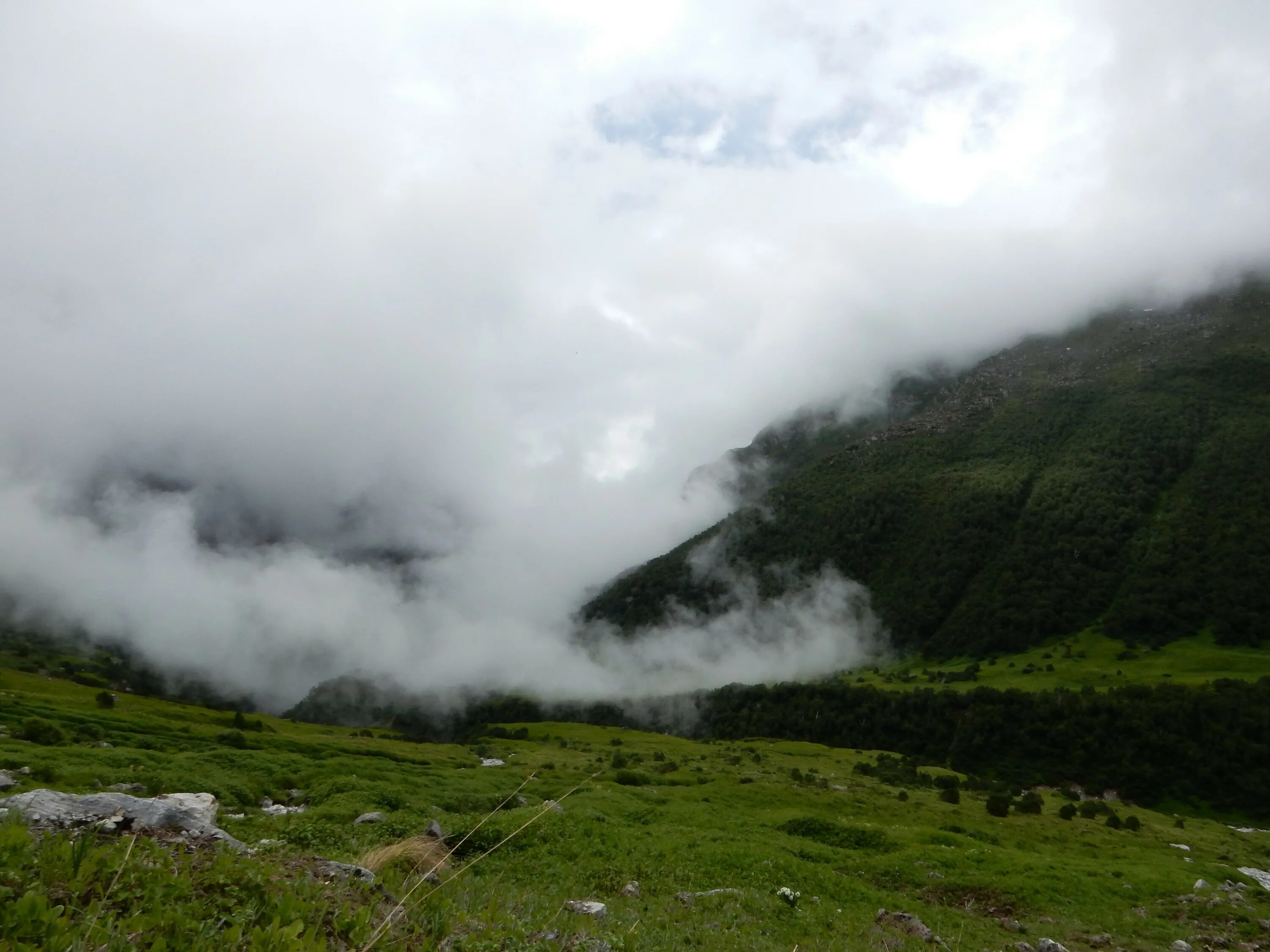 Погода горный июль. Горы в облаках. Облачная Долина. Долина туманна, размежёвана. Погода в горах фото.