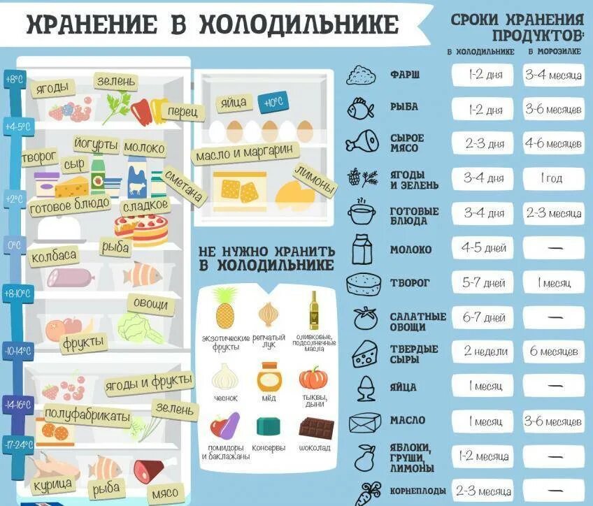 Сколько времени можно хранить разведенную. Сроки хранения продуктов в холодильнике. Хранение продуктов в холодильнике. Нормы хранения продуктов в холодильнике. Холодильник с продуктами.