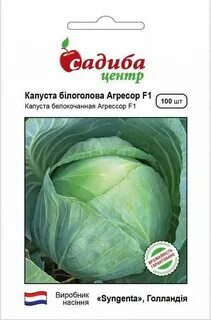 Капуста сорт агрессор характеристика