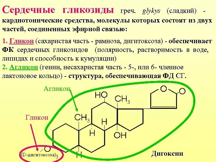 Общая структура сердечных гликозидов. Классификация сердечных гликозидов по полярности их молекул. Сердечные гликозиды строение. Классификация сердечных гликозидов по полярности. Внутривенные сердечные гликозиды