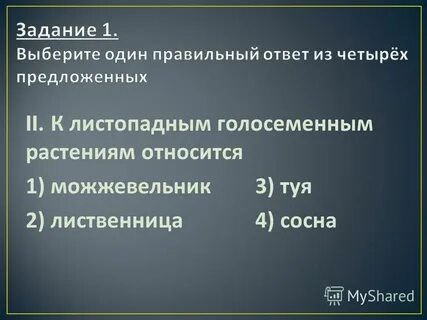 Относиться м