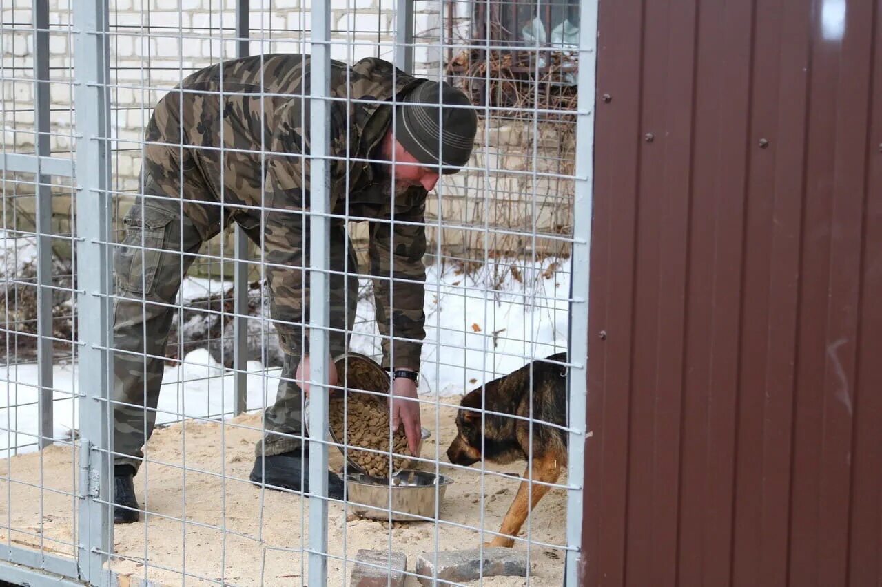 Приют собак в брянске бежицкий район. Брянск приют для бездомных. Приют собак в брянске бежицкий район. Приют для собак брянск. Приют для животных в брянске.