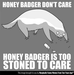 Badger перевод