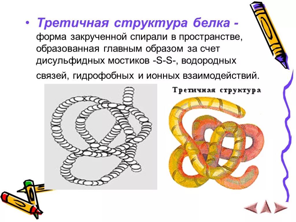 Третичная структура белка данная структура. Третичная структура белка строение. Форма третичной структуры белка. Третичная структура белка это структура. Спираль химия третичная структура белка.