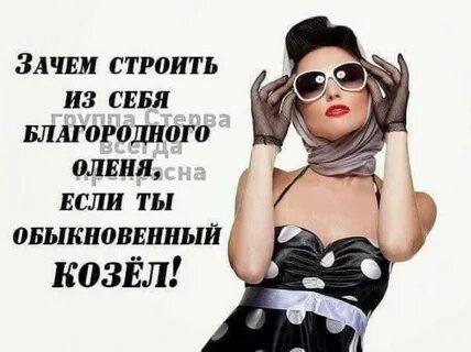 Стерва текст