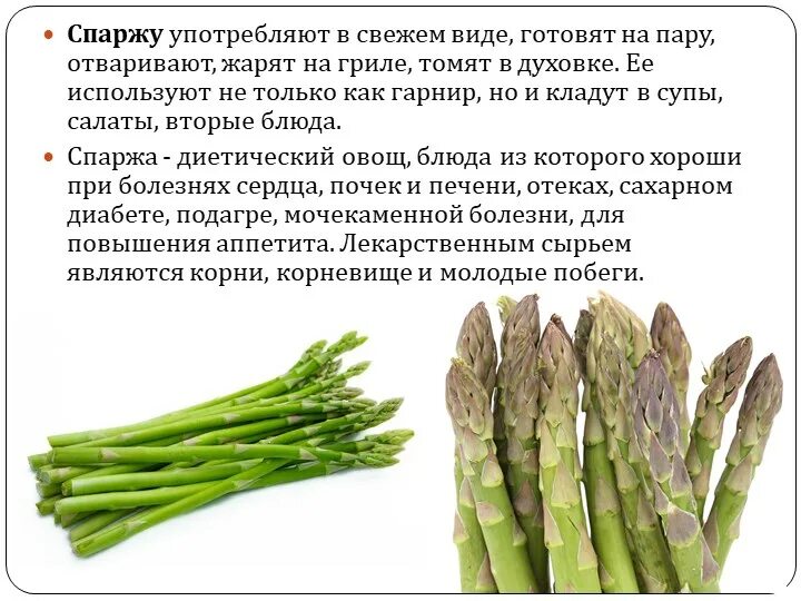 Можно спаржу беременным. Можно спаржу беременным