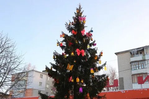 Ели брянск