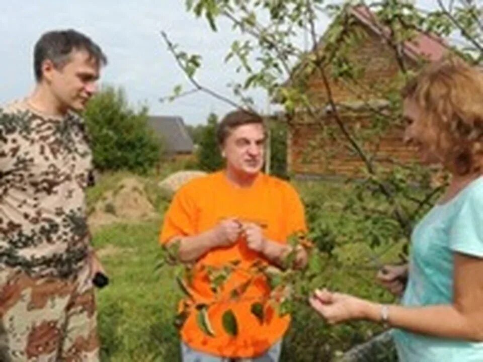 Садовод Андрей Туманов: "Чем меньше сажают картошки, тем лучше благосостояние ст