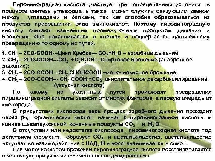 Процессы протекающие при хранении. Процессы протекающие при хранении