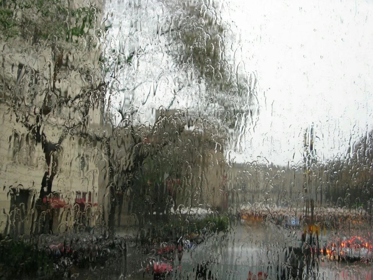 Сегодня весь день шел дождь. Дождливый день. Дождливый весенний день. Дождь весной.