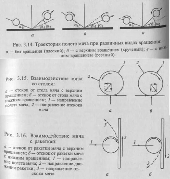 Какова траектория мяча во время футбольного матча. Какова траектория мяча во время футбольного матча