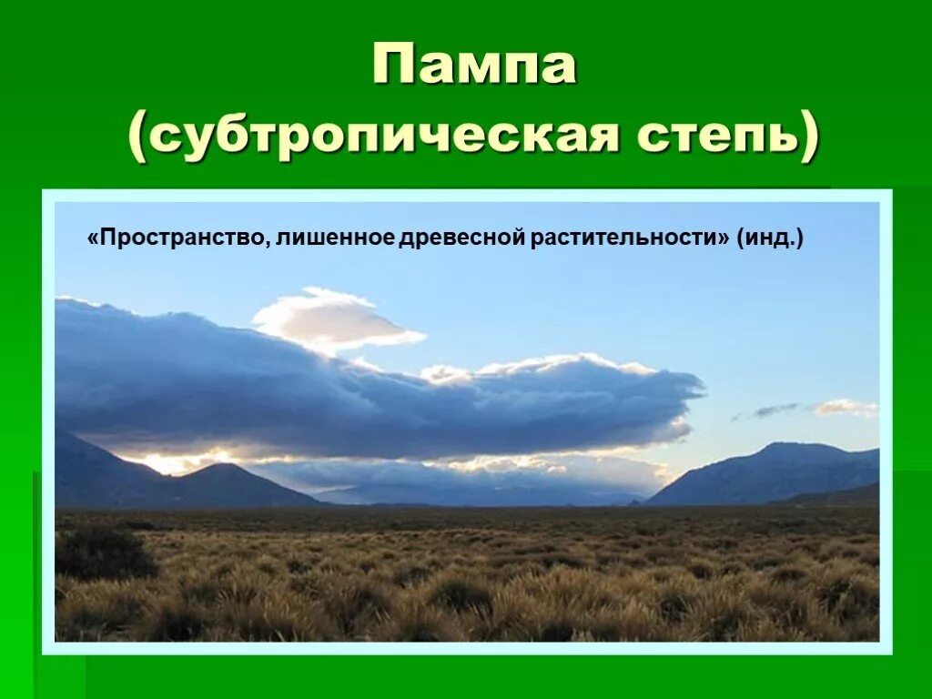 Степи пампа Южной Америки. Субтропические степи Южной Америки. Субтропические степи (пампа). Пампа природная зона южной америки