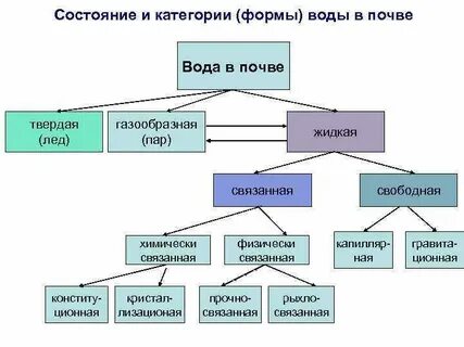 Виды влаги в почве