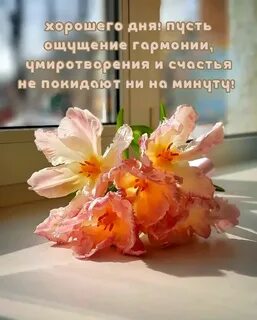 Хороших новостей и радостных событий