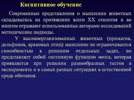Когнитивное изучение