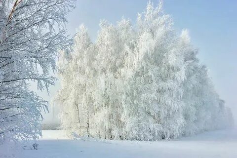 Красоты зимы окружающий мир