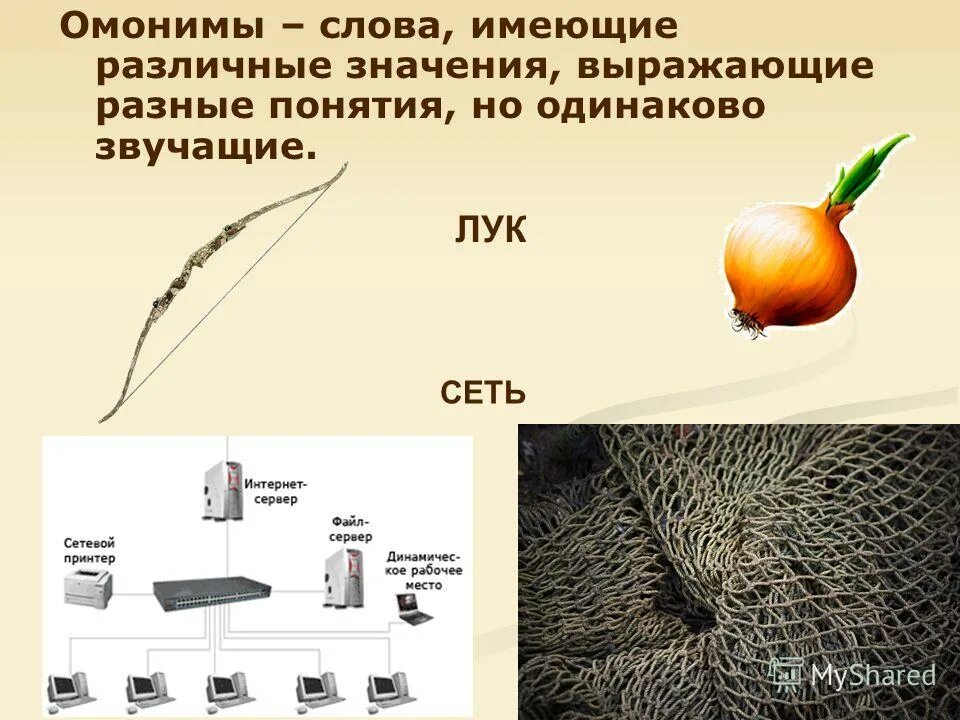 объекты имеющие одинаковое. собственные и нарицательные имена существительные. объекты имеющие одинаковое. предметы по общему признаку. природа одинаковые предметы.