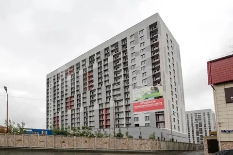 Полевая тюмень
