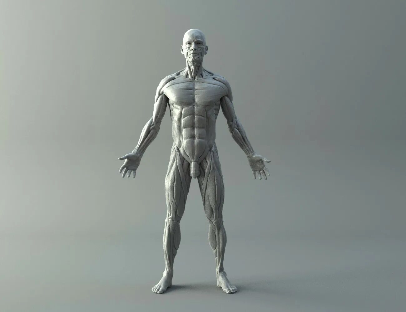 3d models