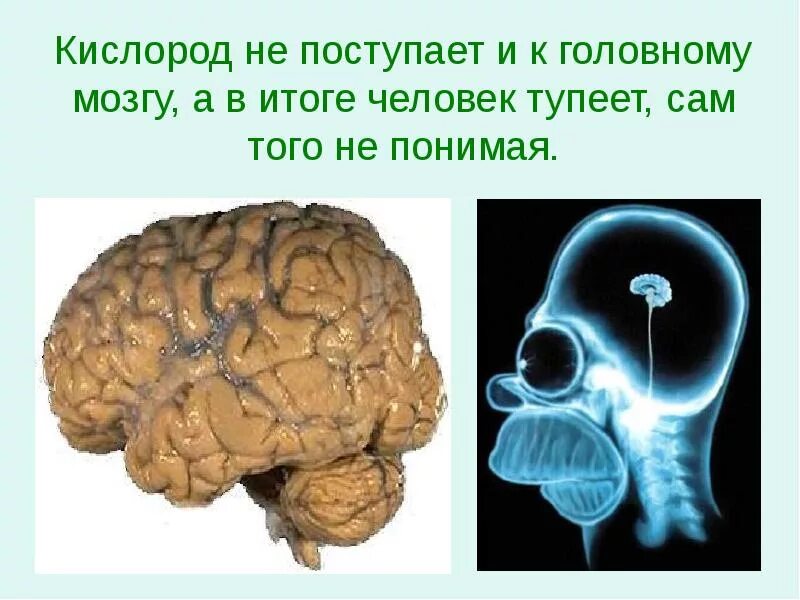 Мозги попал. Кислород головного мозга. Поступление кислорода в мозг. Недостаток кислорода в мозге.