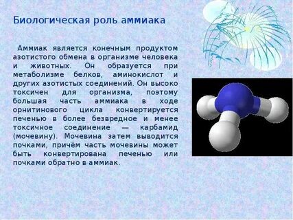 Биологическая роль аммиака