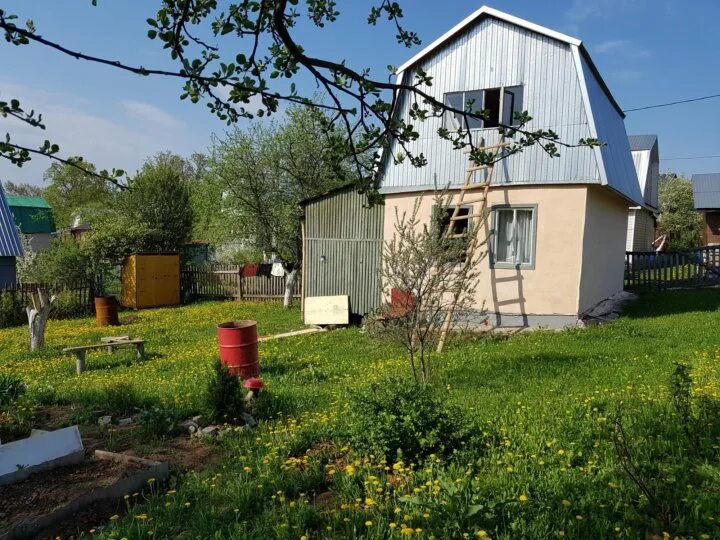 Снт рассвет электросталь. Продается дача. Дорохово дачный посёлок. Циан дача снт. Снт рассвет 2.