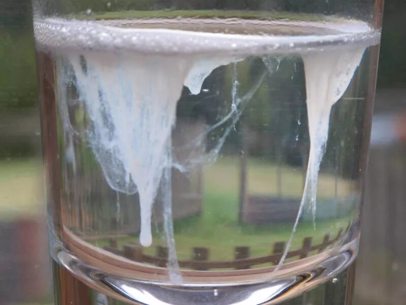 Тест на кандиду со слюной. Подбери слюни она моя. Прозрачная жидкость. Тест со стаканом воды на кандиду. Тест на кандиду со слюной.