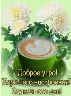 Добрый свежий