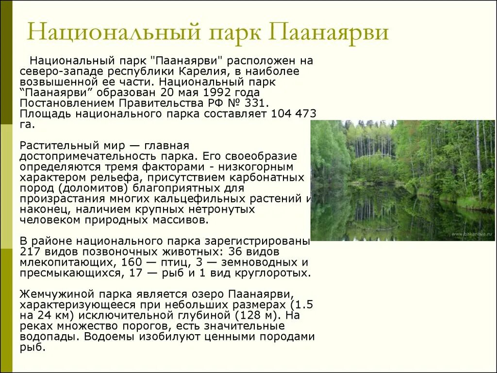 Национальный парк Паанаярви информация. Национальный парк Паанаярви сообщение. Национальный парк Паанаярви презентация.