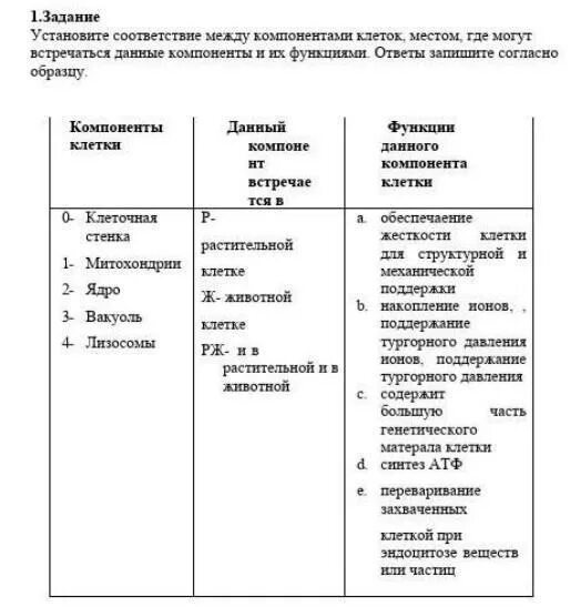 Установите соответствие между компонентами и процессами. Установите соответствие между белками и их функциями. соответствие между функциями и частями клетки. установите соответствие между компонентами крови и их функциями. установите соответствие между компонентами листа и их функциями..