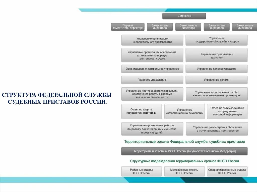 Отдел управления федеральной службы судебных. Организационная структура судебных приставов схема. Структура Федеральной службы судебных приставов схема. Организационная структура службы судебных приставов схема. Структура органов ФССП России схема.