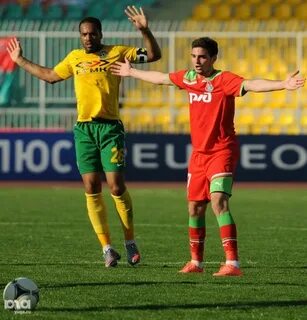 Лев кубань